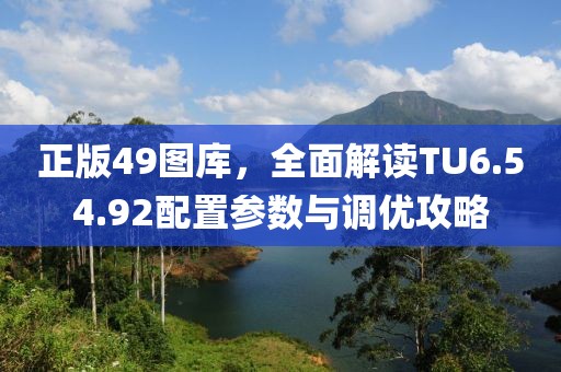 正版49图库，全面解读TU6.54.92配置参数与调优攻略