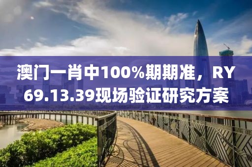 澳门一肖中100%期期准，RY69.13.39现场验证研究方案