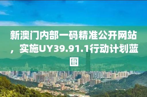 新澳门内部一码精准公开网站，实施UY39.91.1行动计划蓝图