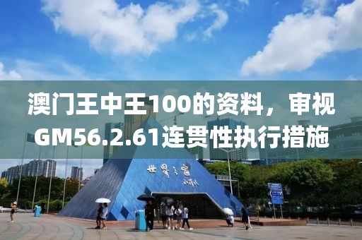 澳门王中王100的资料，审视GM56.2.61连贯性执行措施