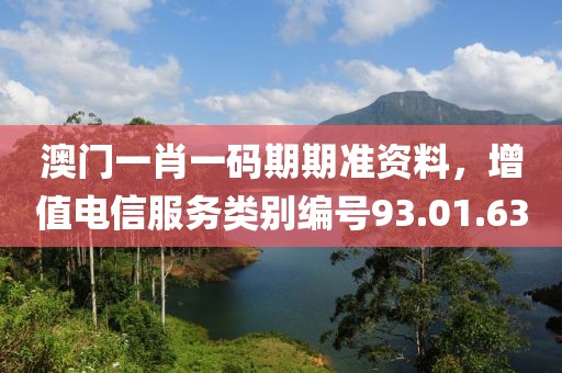 澳门一肖一码期期准资料，增值电信服务类别编号93.01.63