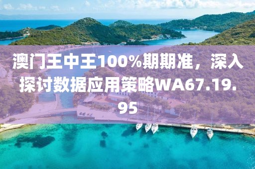 澳门王中王100%期期准，深入探讨数据应用策略WA67.19.95