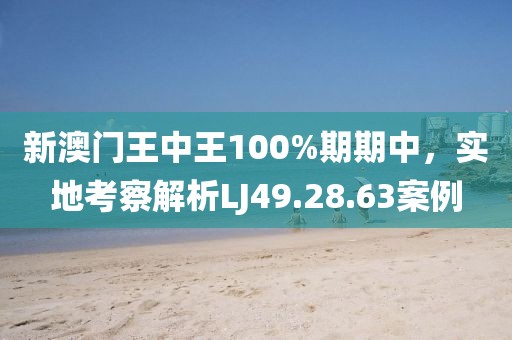 新澳门王中王100%期期中，实地考察解析LJ49.28.63案例