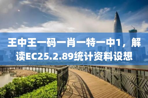 王中王一码一肖一特一中1，解读EC25.2.89统计资料设想