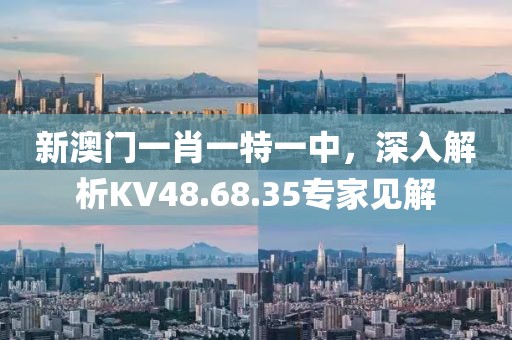 新澳门一肖一特一中，深入解析KV48.68.35专家见解