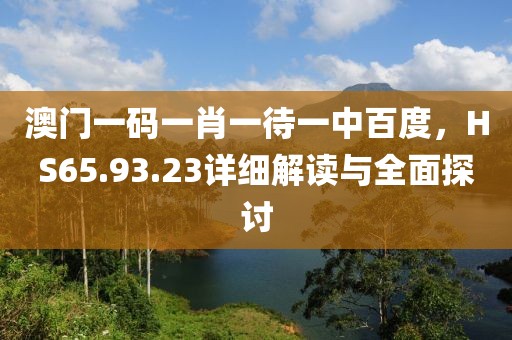 澳门一码一肖一待一中百度，HS65.93.23详细解读与全面探讨