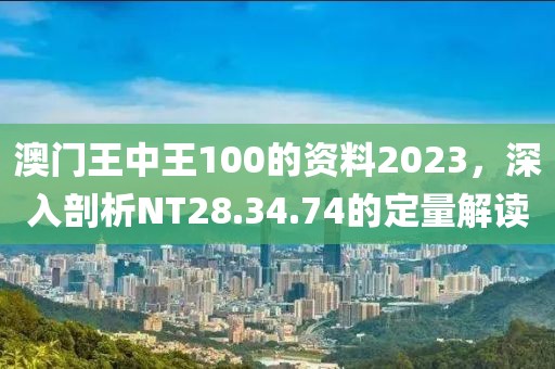 澳门王中王100的资料2023，深入剖析NT28.34.74的定量解读