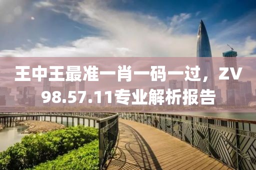 王中王最准一肖一码一过，ZV98.57.11专业解析报告
