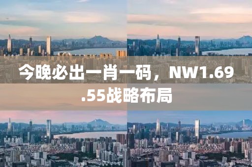 今晚必出一肖一码，NW1.69.55战略布局