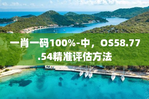一肖一码100%-中，OS58.77.54精准评估方法