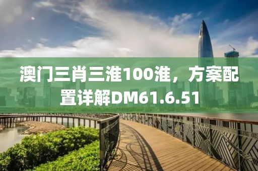 澳门三肖三淮100淮，方案配置详解DM61.6.51