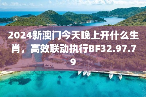 2024新澳门今天晚上开什么生肖，高效联动执行BF32.97.79