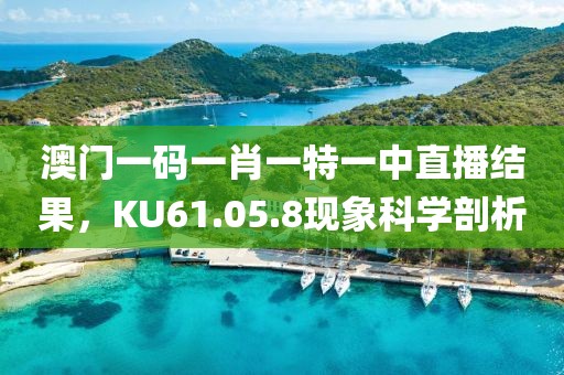 澳门一码一肖一特一中直播结果，KU61.05.8现象科学剖析
