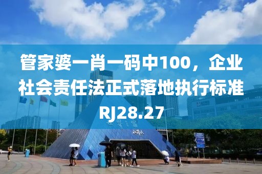 管家婆一肖一码中100，企业社会责任法正式落地执行标准RJ28.27