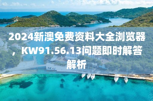 2024新澳免费资料大全浏览器，KW91.56.13问题即时解答解析