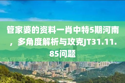管家婆的资料一肖中特5期河南，多角度解析与攻克JT31.11.85问题