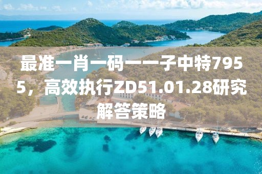 最准一肖一码一一子中特7955，高效执行ZD51.01.28研究解答策略