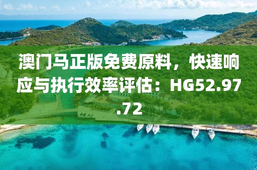 澳门马正版免费原料，快速响应与执行效率评估：HG52.97.72