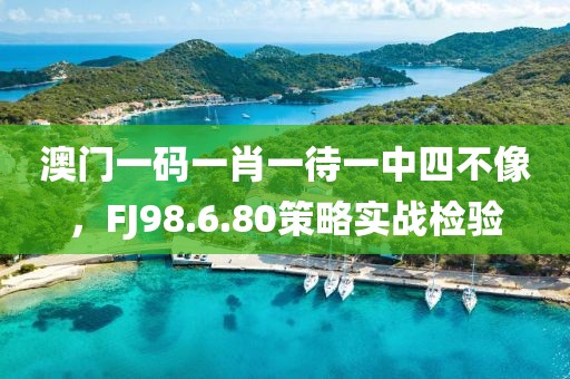 澳门一码一肖一待一中四不像，FJ98.6.80策略实战检验