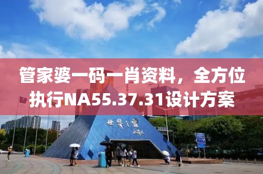 管家婆一码一肖资料，全方位执行NA55.37.31设计方案