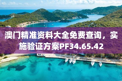 澳门精准资料大全免费查询，实施验证方案PF34.65.42