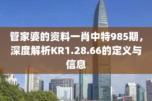 管家婆的资料一肖中特985期，深度解析KR1.28.66的定义与信息