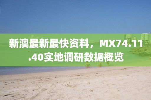 新澳最新最快资料，MX74.11.40实地调研数据概览
