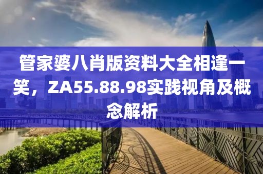 管家婆八肖版资料大全相逢一笑,ZA55.88.98实践视角及概念解析