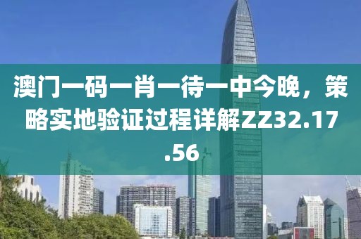 澳门一码一肖一待一中今晚,策略实地验证过程详解ZZ32.17.56