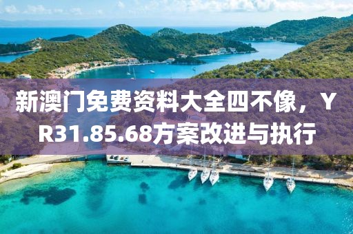 新澳门免费资料大全四不像，YR31.85.68方案改进与执行