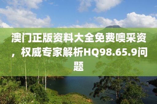 澳门正版资料大全免费噢采资，权威专家解析HQ98.65.9问题