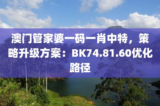 澳门管家婆一码一肖中特，策略升级方案：BK74.81.60优化路径