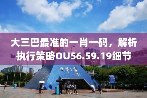 大三巴最准的一肖一码，解析执行策略OU56.59.19细节
