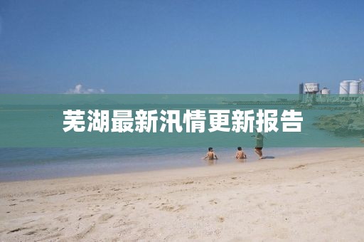 芜湖最新汛情更新报告