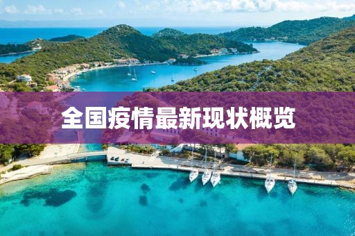 全国疫情最新现状概览