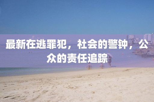 最新在逃罪犯，社会的警钟，公众的责任追踪