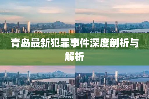 青岛最新犯罪事件深度剖析与解析
