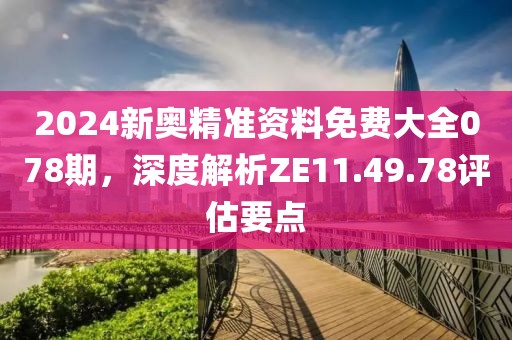 2024新奥精准资料免费大全078期，深度解析ZE11.49.78评估要点