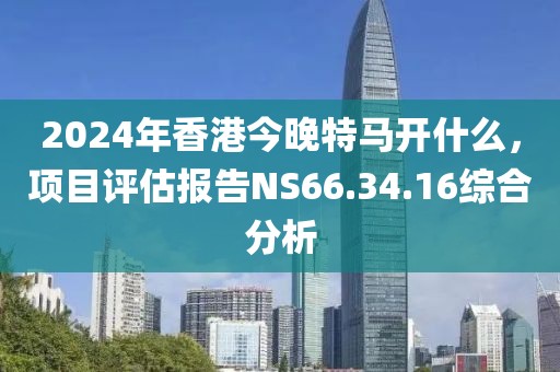 2024年香港今晚特马开什么，项目评估报告NS66.34.16综合分析