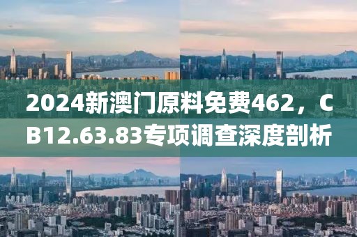 2024新澳门原料免费462，CB12.63.83专项调查深度剖析