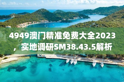 4949澳门精准免费大全2023，实地调研SM38.43.5解析