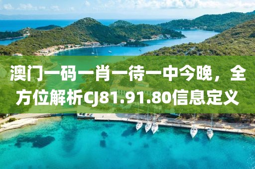 澳门一码一肖一待一中今晚，全方位解析CJ81.91.80信息定义