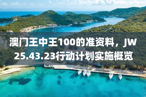 澳门王中王100的准资料，JW25.43.23行动计划实施概览