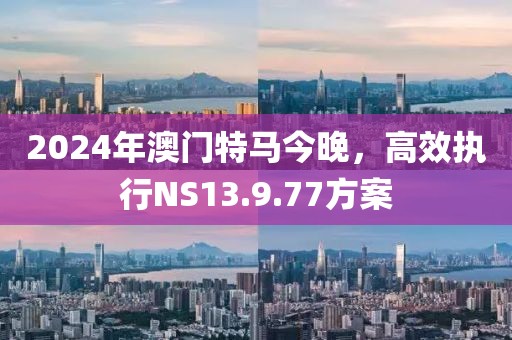 2024年澳门特马今晚，高效执行NS13.9.77方案