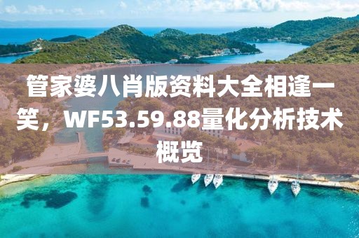 管家婆八肖版资料大全相逢一笑，WF53.59.88量化分析技术概览