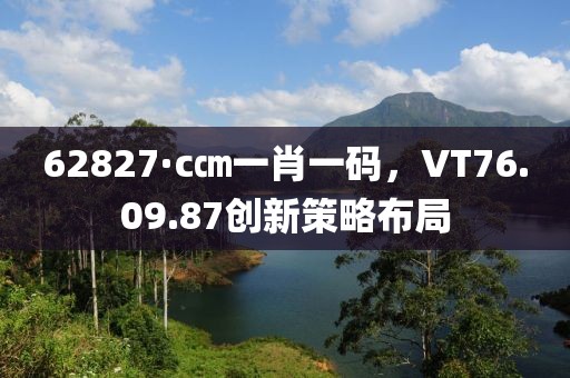 62827·c㎝一肖一码，VT76.09.87创新策略布局