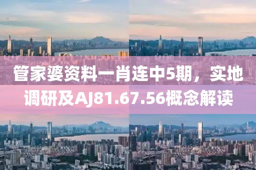 管家婆资料一肖连中5期，实地调研及AJ81.67.56概念解读