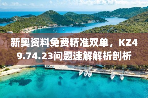 新奥资料免费精准双单，KZ49.74.23问题速解解析剖析