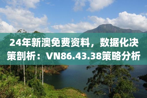 24年新澳免费资料，数据化决策剖析：VN86.43.38策略分析