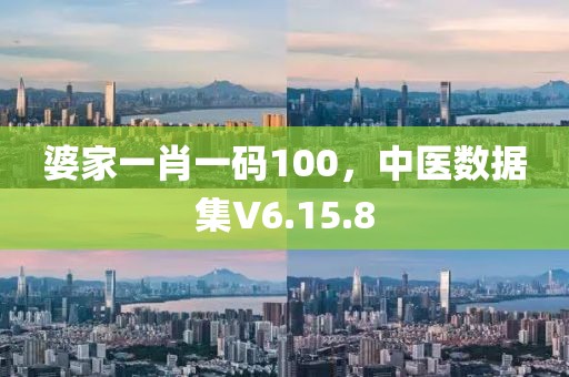 婆家一肖一码100，中医数据集V6.15.8